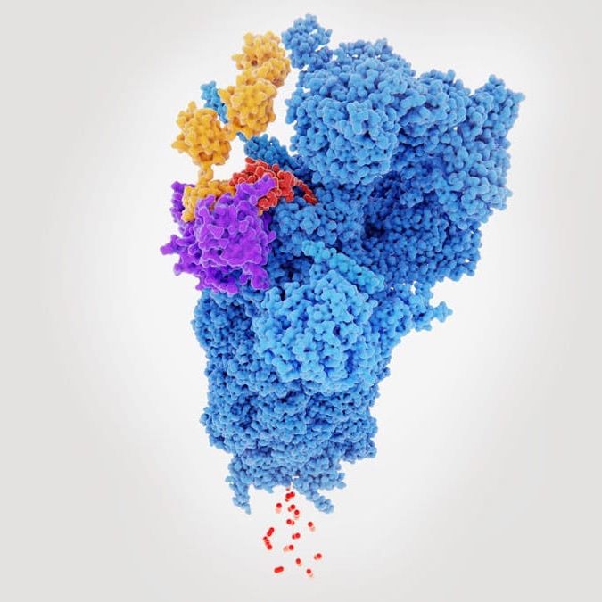 targeted protein degradation